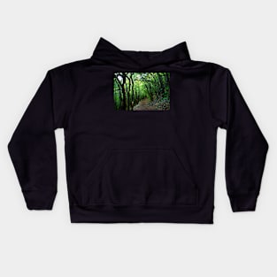 View on the way to the Lame Rosse with oblique trees Kids Hoodie